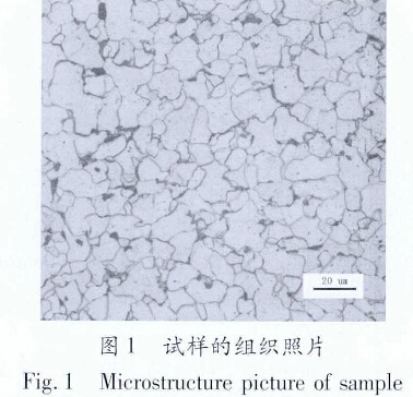 圖l 試樣的組織照片
